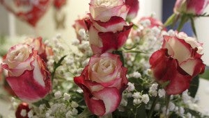 The sweetness bouquet has white flowers with red tips around them, and Jemison Florist and Gift Shop owner Jonna Jones said.