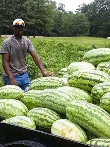 Cameron Wright stands with more watermelons the group grew.