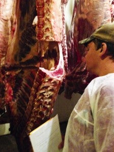 Carson Littleton examines a meat carcass during the state FFA Meats Evaluation and Technology competition in Auburn.