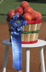 M&M Farms won fist place for its basket of peaches at the 68th annual Chilton County Peach Auction on Saturday. (Photos by Brandon Sumrall)