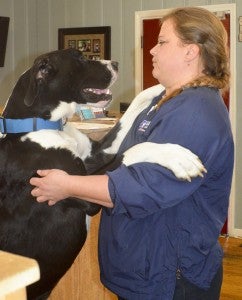Zeus shows love to Michelle Glass who helped rescue him from the wreck.