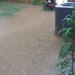 Standing water: Lisa Nicholas’ back yard fills with water during heavy rains, but there is no obvious solution.