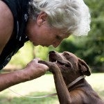 2nd Chance Animal Sanctuary owner Sandra Shaffer reaches out to shake KoKo's paw. KoKo is a chocolate lab mix awaiting adoption.