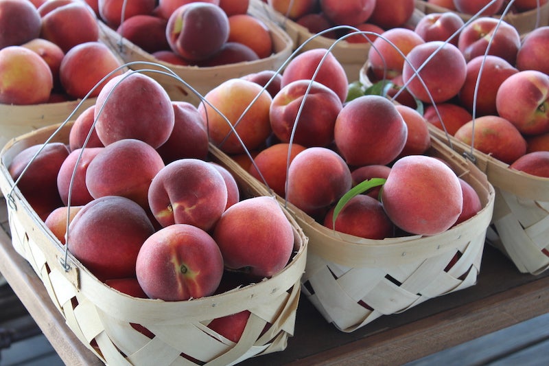 Peach crop makes a drastic turnaround from last year The Clanton