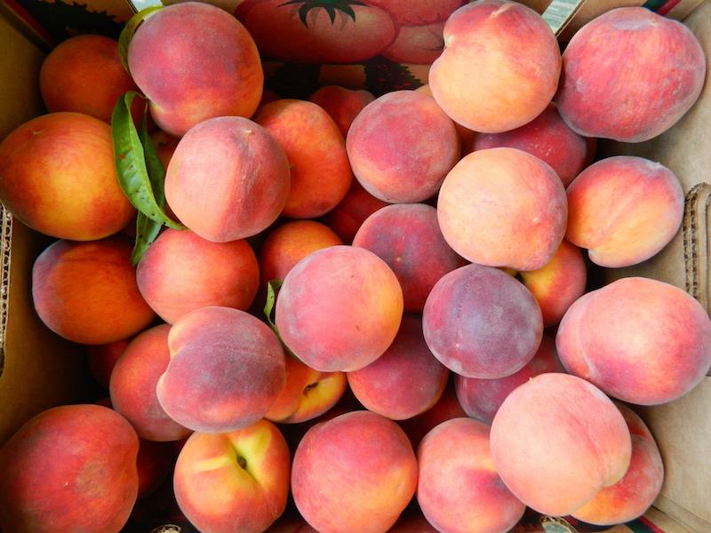 Chilton County Life Sweet as a Peach The Clanton Advertiser The